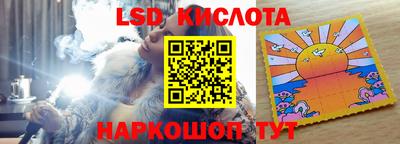 гашик Будённовск