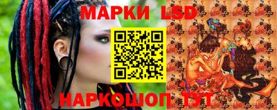 гашик Будённовск