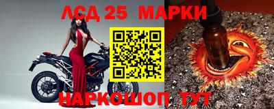 гашик Будённовск