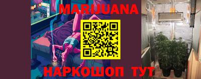 гашик Будённовск