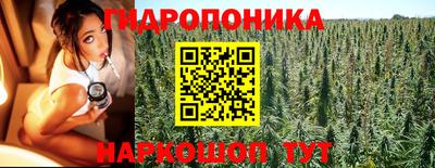 гашик Будённовск